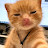 @치즈냥냥이-q8q