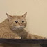 jF2zFtVmR5U-channel-avatar-1038 1038