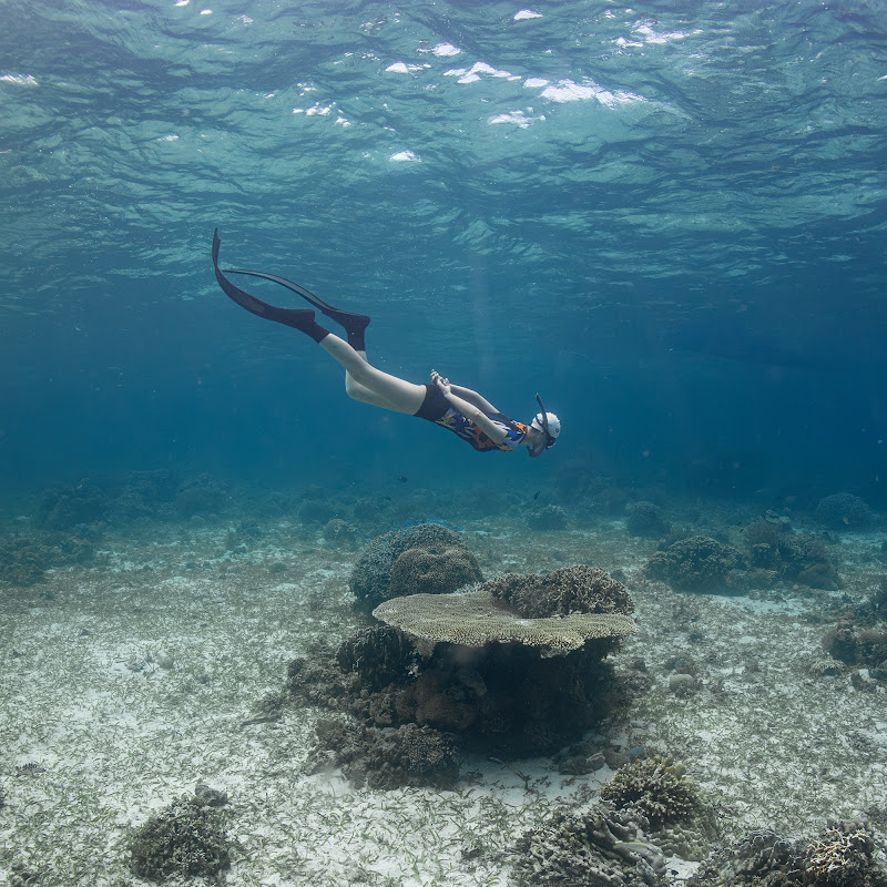 오딥다 O-deepDa Logo