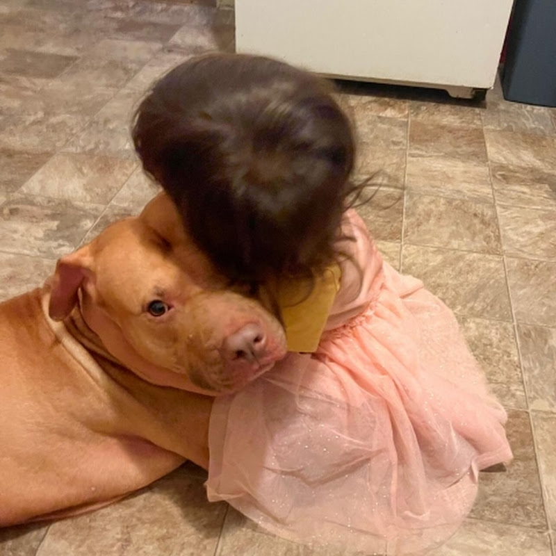 Tony Montana APBT