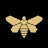 @d2vmusic's avatar