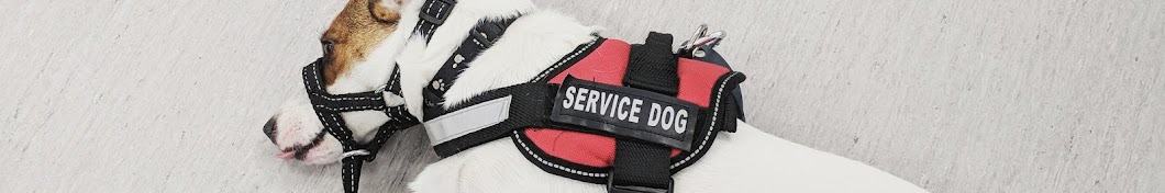 Service Dog Sammy Avatar del canal de YouTube