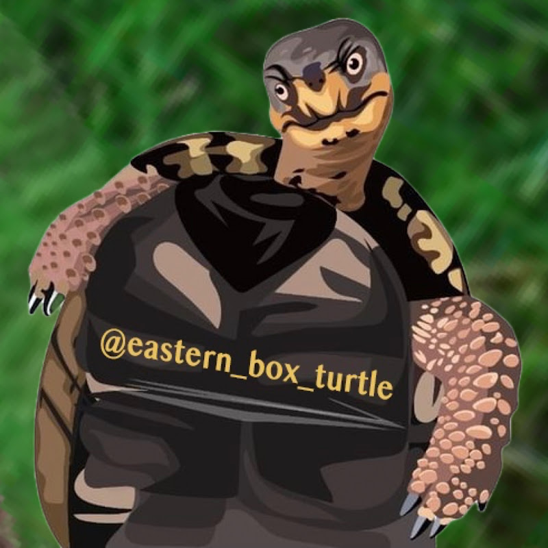 Eastern_Box_Turtle