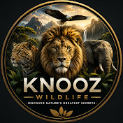 Knooz Wildlife