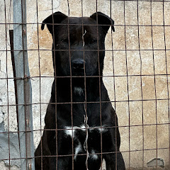 Artistide channel thumbnail