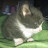 @KellyHill-gg9xr