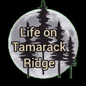 Life on Tamarack Ridge!