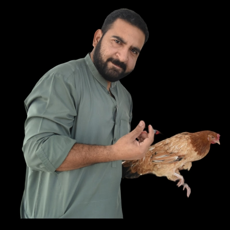 Ghar pr farm