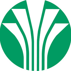 杉並区河川ライブカメラの画像