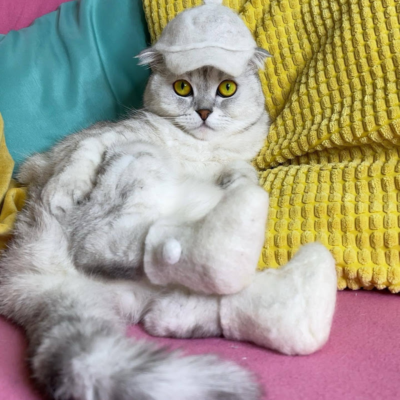 SonyaKisa