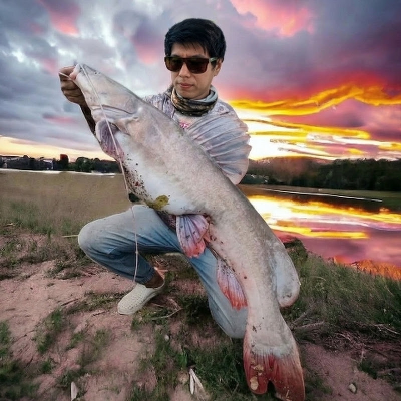 ออกมา หากิน