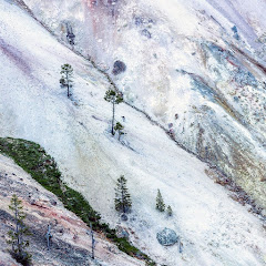 siberian ambience