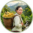 f8zxFkIdK6M-channel-avatar-Trieu Mai Huong - 赵梅香