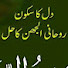 rJNkOKXQTKk-channel-avatar-History of Islam
