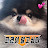 @Dogs_insight_