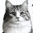 @MISTERI_CAT24