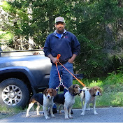 High Country Beagles