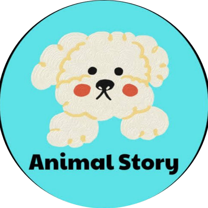 Animals stories 
