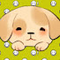 iPqJ_L3t748-channel-avatar-FUNNY PETS_NONTOXI