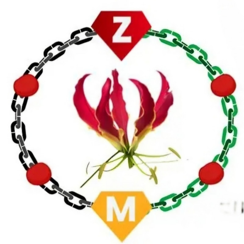 SmartTech & Biz by Zishopu 