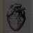 @عليالساعدي-ذ5ق2ن