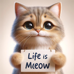 Life is Meow