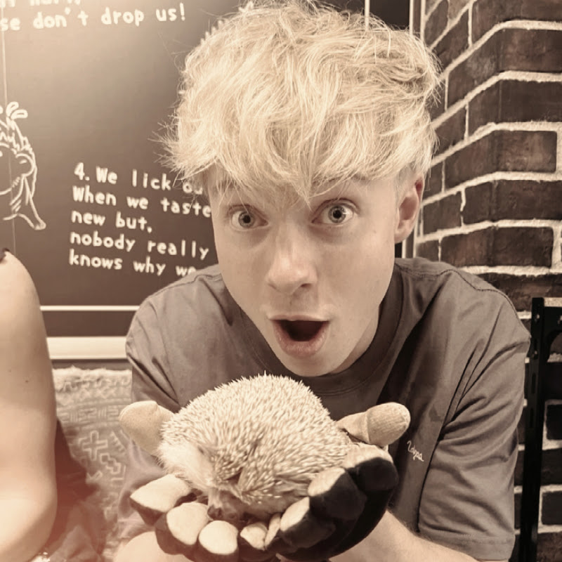 𝘼𝙢𝙚𝙡𝙞𝙖