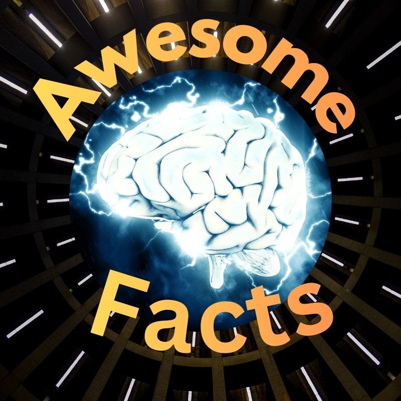 Awesome Facts