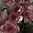@hend.x.x