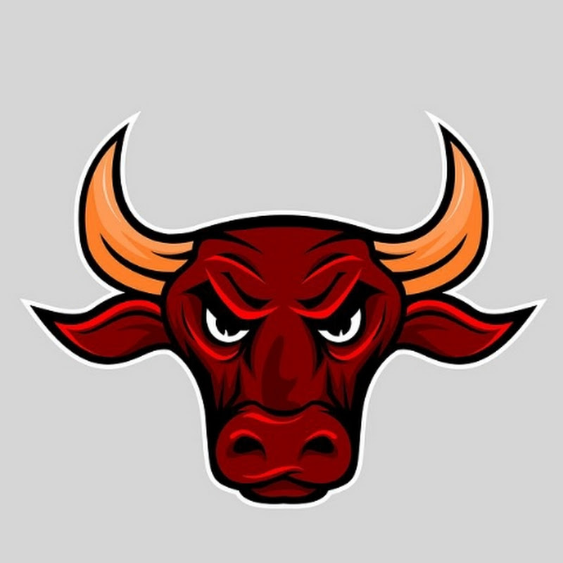 THE ULTIMATE BULL