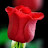 @arunkumararunkumar-gn8zm