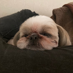 パン