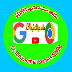 مشاهد حيوانات مثيره ADHM 