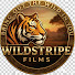 g06QervaUFs-channel-avatar-Wildstripe Films
