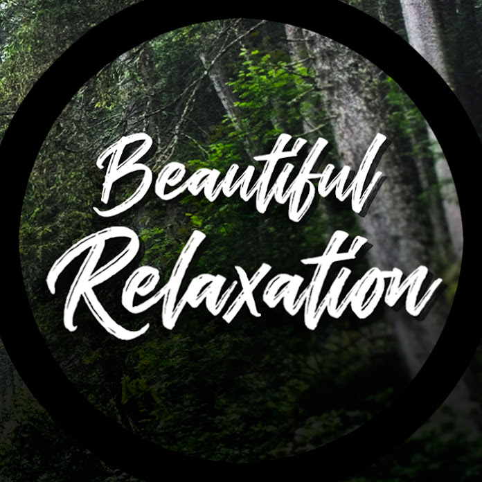 Beautiful Relaxation Net Worth & Earnings (2024)
