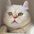 @헤헴-w3c