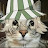 @Ok_Aku's avatar