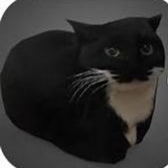 Maxwell The Cat