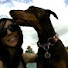xTYtwaovzS8-channel-avatar-Magnum Opus K9 Training