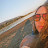 @shestayswild's avatar