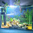 @aquarioxsp2 Avatar