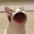 O7rz0VZZ29k-channel-avatar-TripleTuka