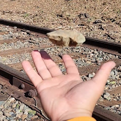 Strong Hand 👌🏼