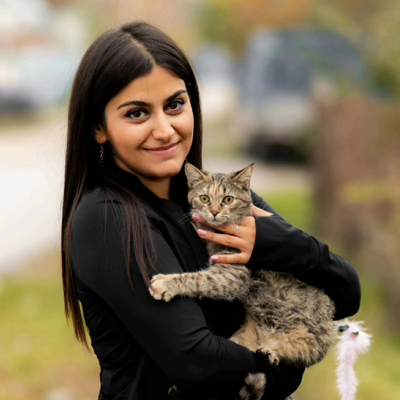 Четвероногие Друзья Logo