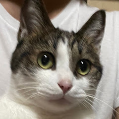 しょうチャンネル