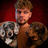 nzVMh1si2xU-channel-avatar-Otto the Dachshund 