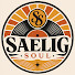 PdZDx_GLtSQ-channel-avatar-Saelig Soul