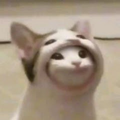 장호