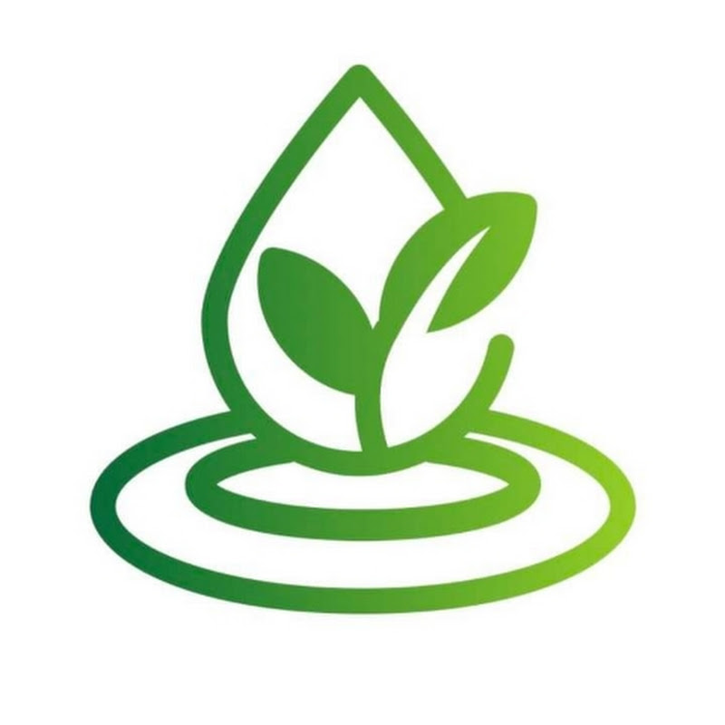 Life Hub Official