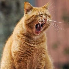 幸せブチ上げ日記